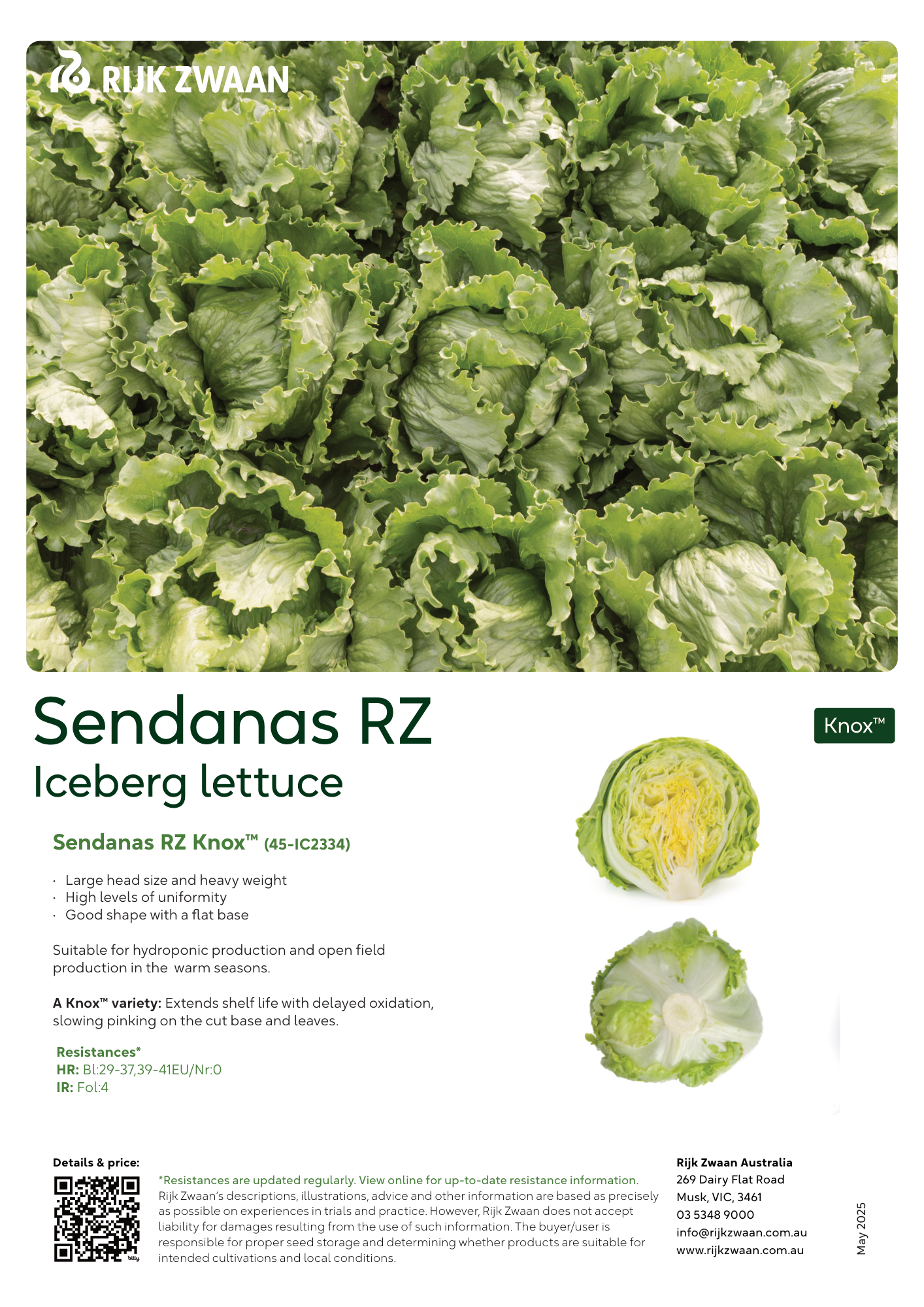 Sendanas RZ | Iceberg | Rijk Zwaan Seeds | Australia | Rijk Zwaan