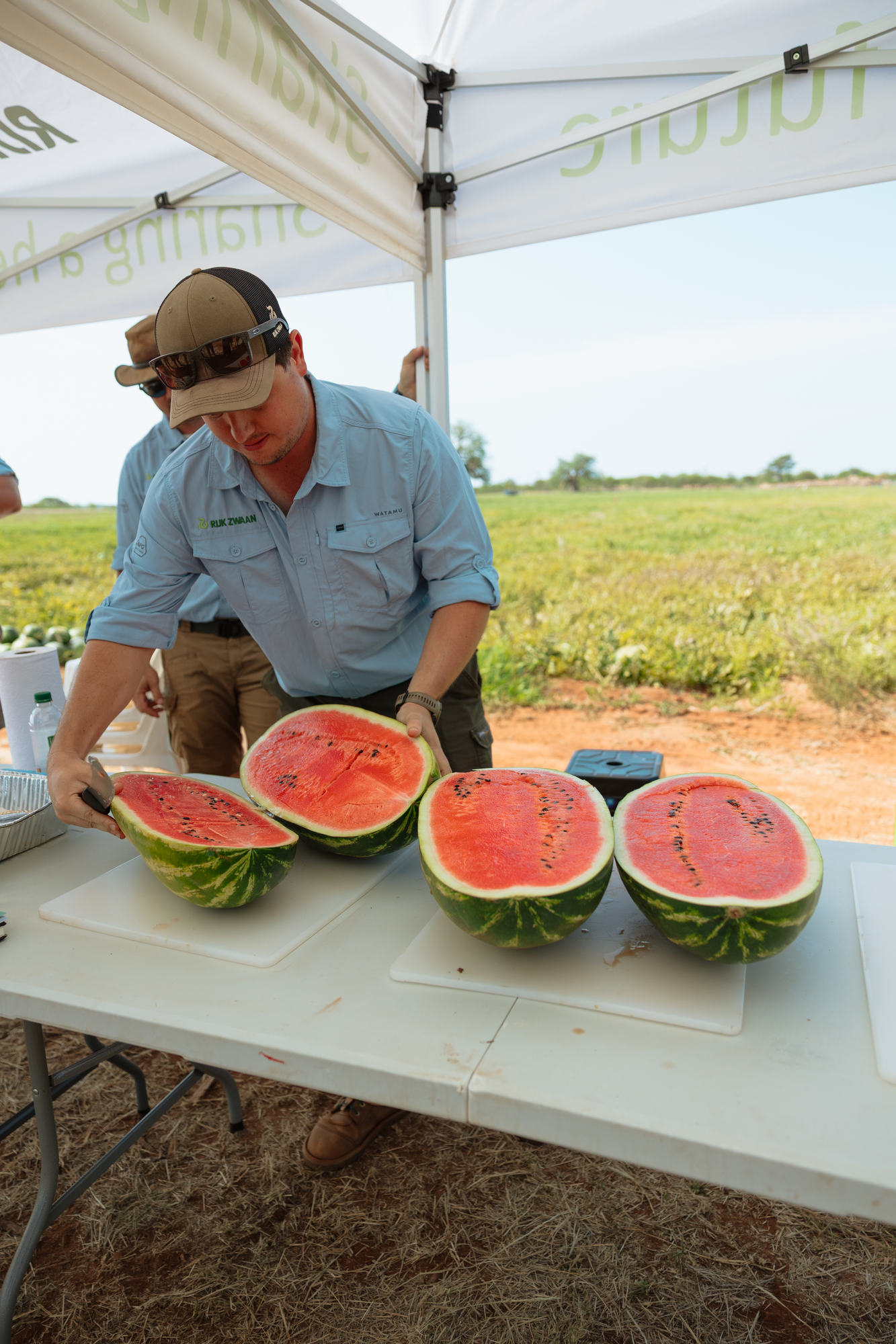 Melon days South Africa | Rijk Zwaan ZA