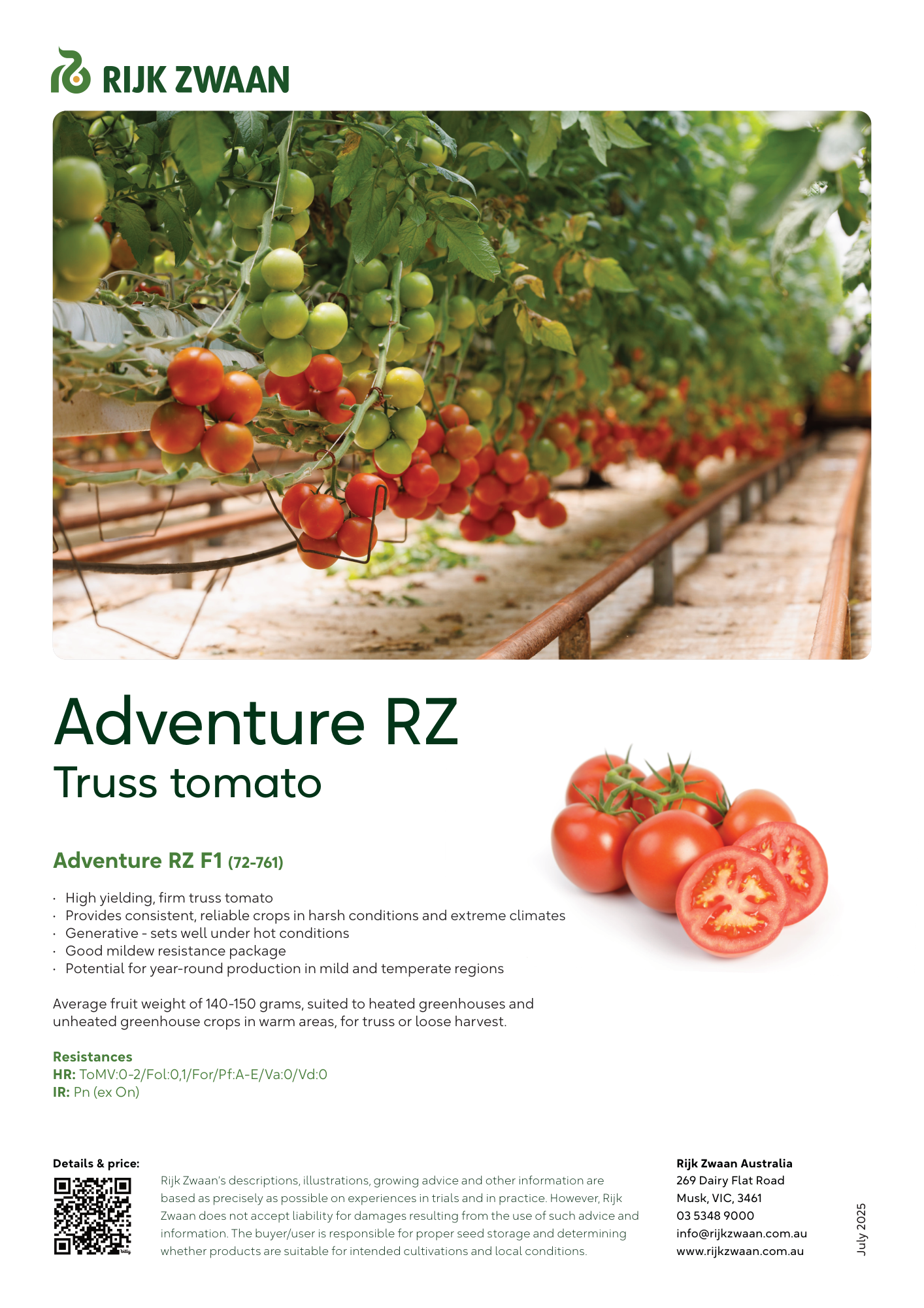 ADVENTURE RZ F1 (72-761) | Tomato | Rijk Zwaan AU | Quality Seeds