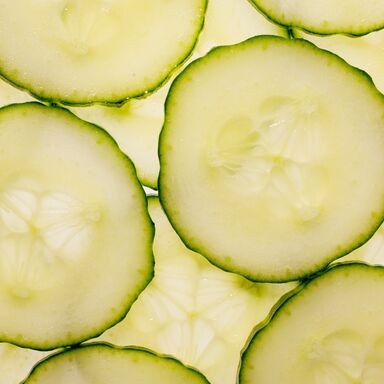 MIRAMUNDO RZ F1 | Melon | White honeydew | Green | Hybrid | Rijk