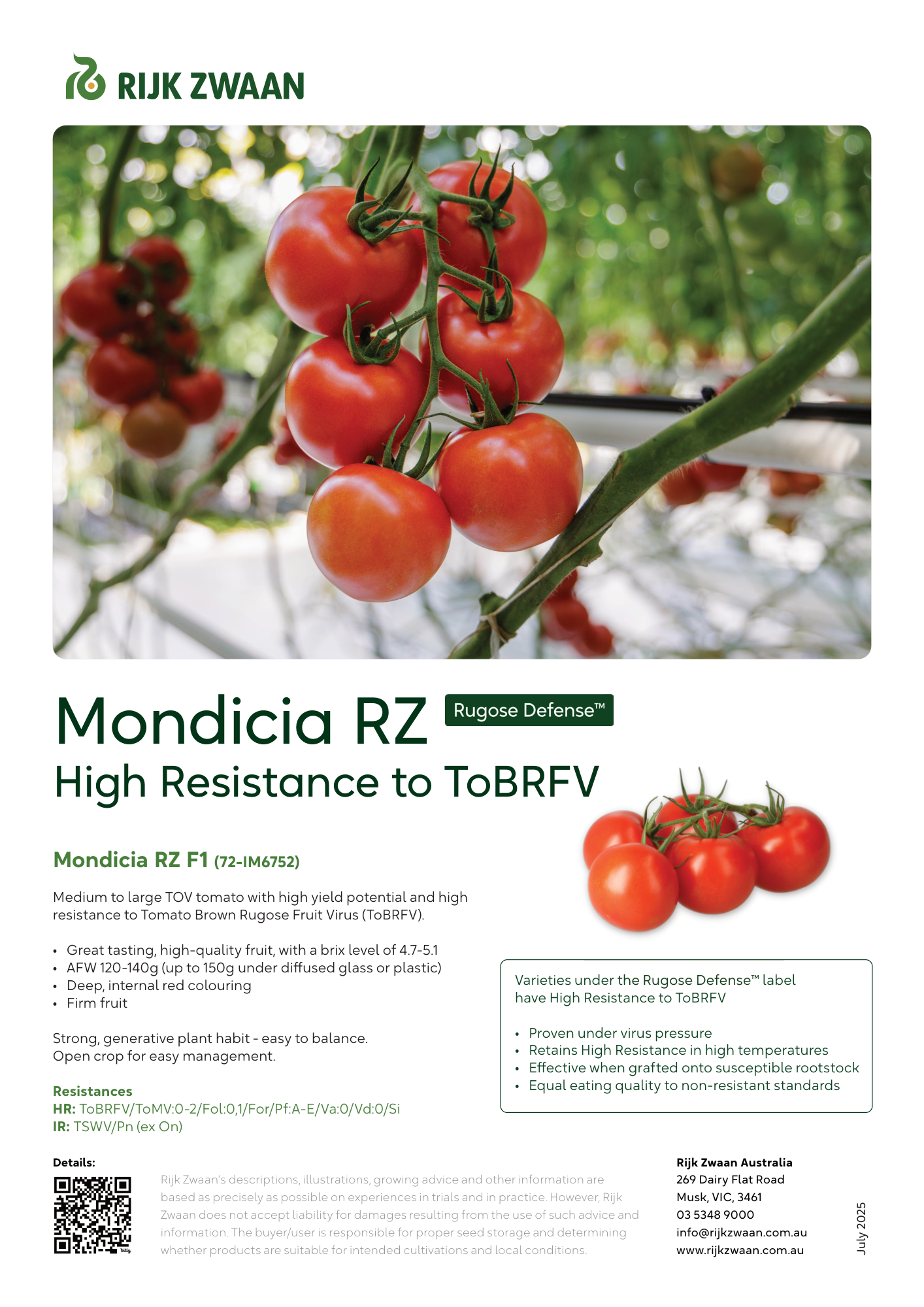 Mondicia RZ | Large Truss Tomato | Brown Rugose resistant | Rijk