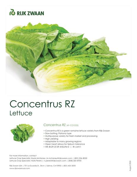 Lettuce Seeds | Cos | CONCENTRUS RZ | Rijk Zwaan