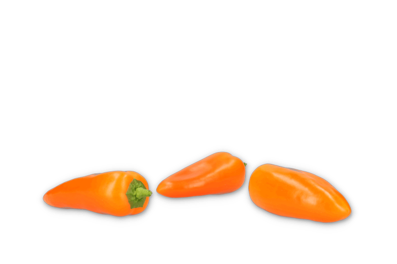 ORANGE CRUSH RZ F1  product photo view-2 L