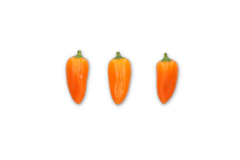 ORANGE CRUSH RZ F1  product photo front L