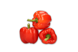 ALZAMORA RZ F1 product photo