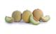 GALUNA HIRON RZ product photo front S