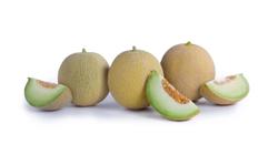 GALUNA HIRON RZ product photo