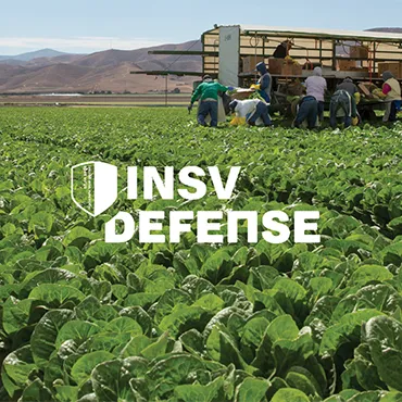 INSV Defense
