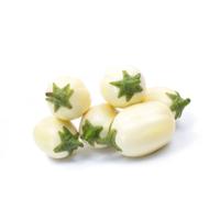 African eggplant