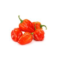 African hot pepper