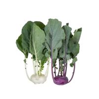 Kohlrabi