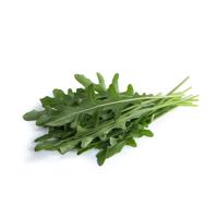 Rucola