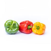 Sweet Pepper 