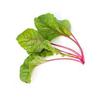 Swiss chard