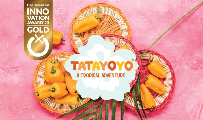 Tatayoyo: a tropical adventure