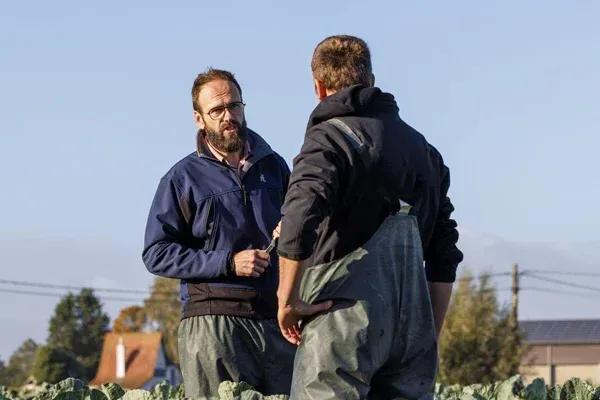 Nieuw Bloemkoolras Flortres RZ F1