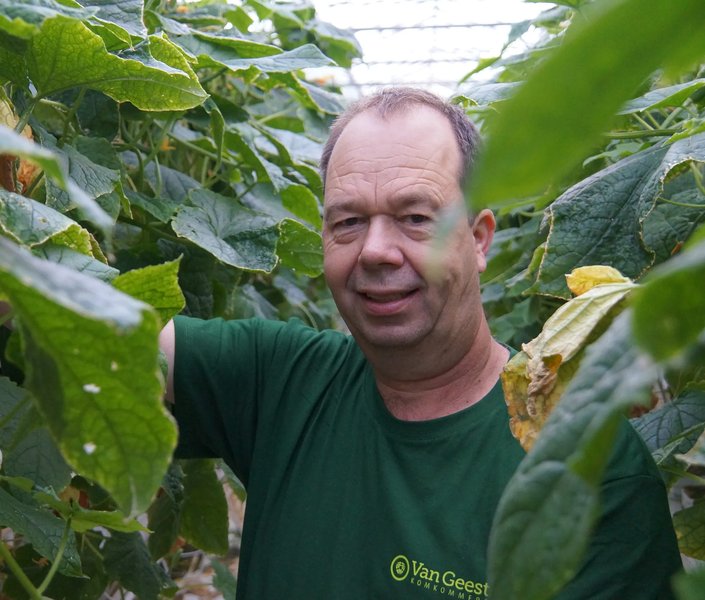 Arthur van Geest Van Geest Komkommers, Tinte