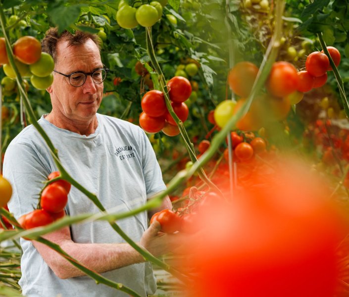Erik Geurts, Trostomatenkwekerij Geurts, Oirlo (NL)