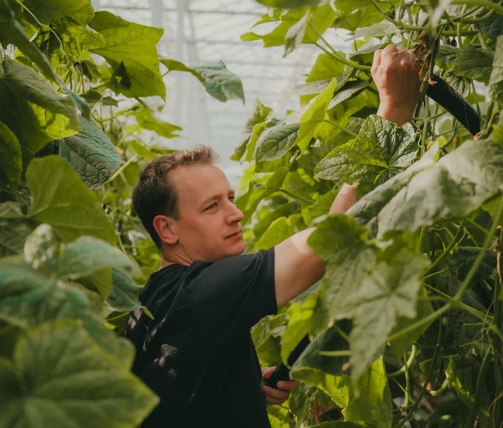 Peter Bergsma, Drenthe Growers, Erica