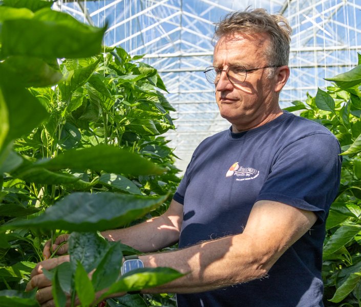 Arus Biersteker Jansen Paprika, Andijk