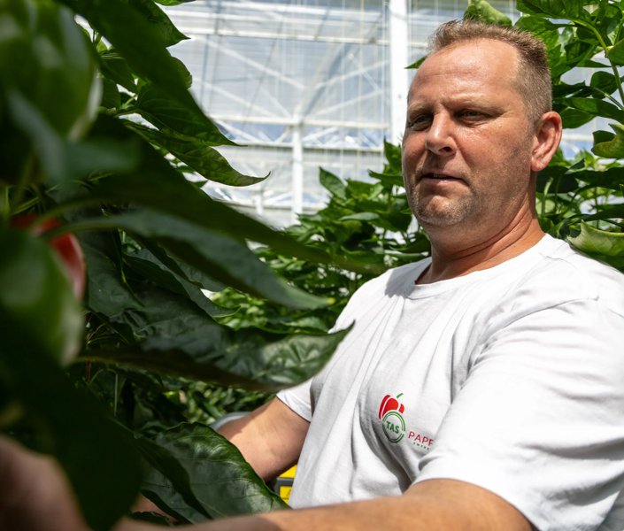 Erik Splinter, Tas Paprika, Luttelgeest