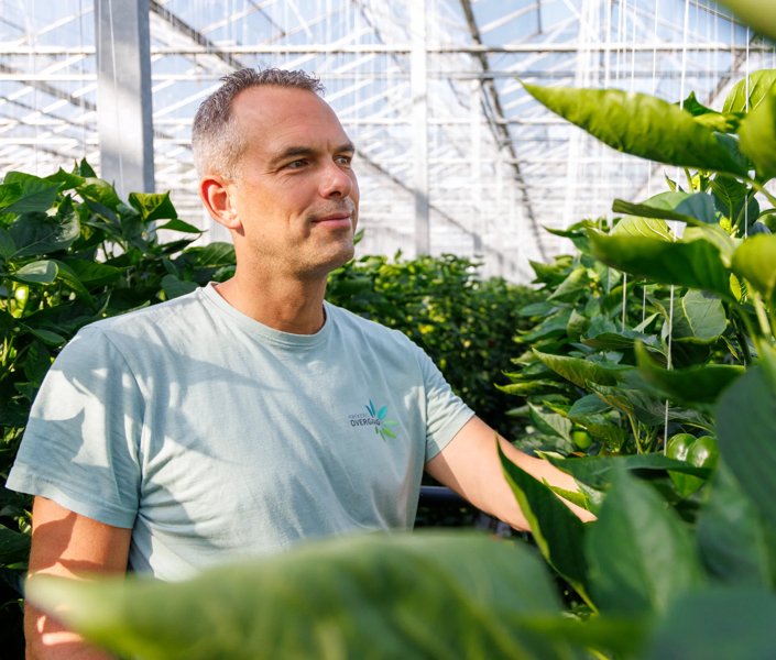 Wouter Overgaag, Kwekerij Overgaag, Kwintsheul