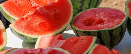 Sandissima watermelon 