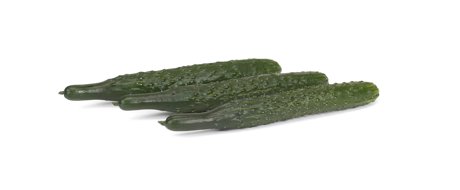 Three Spined asian cooking cucumber on a studio white background