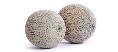 Asian netted Melon