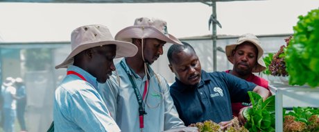 International Field Days 2026