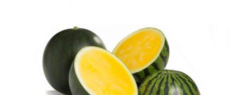 Yellow-flesh Tropical Honey RZ meets consumer demands