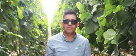 Jaspean RZ: genética pensada para los retos del productor en México