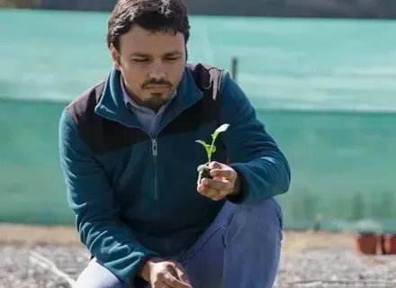 El trabajo con personas y plantas es una combinación perfecta