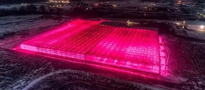 Salanova lettuce is unique in the marketplace Drone image greenhouse Great Lakes Growers