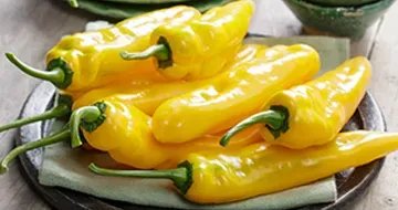 Yellow Sweet Palermo