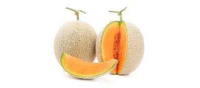 Asian netted orange