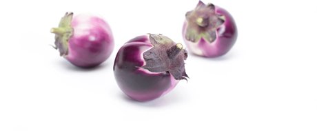Eggplant round purple