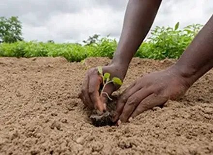 Empowering farmers in Benin
