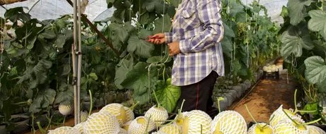 Asia Fruit Logistica is all about Colourful Life