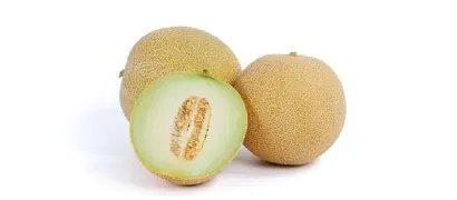 Galia