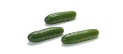 Snack cucumber