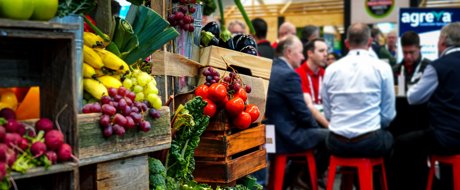 Stacks of fresh fruit and vegetables in crates