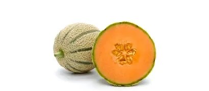 Italian Cantaloupe