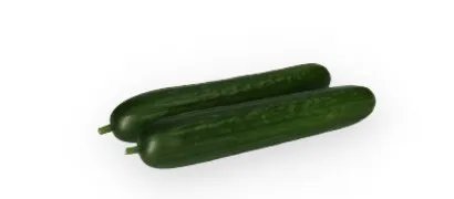 Midi Cucumber