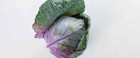Whole head of pink blush rose cabbage 
