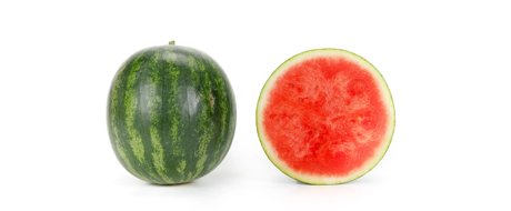 Seedless watermelon