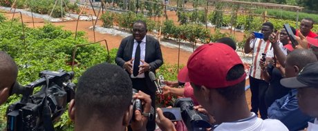 International Field Days in Benin