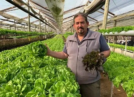 Finca El Sauce