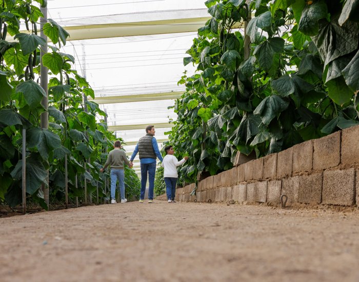 RZES260113_436_Blue Leaf-Edit