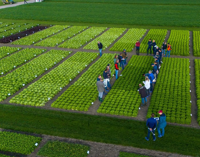 RZNL240923_010_Demo Fijnaart Drone